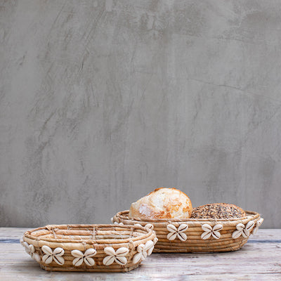 Panera Grande y Mediana Shell