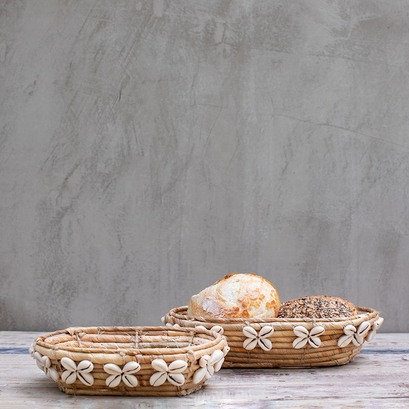 Panera Grande y Mediana Shell