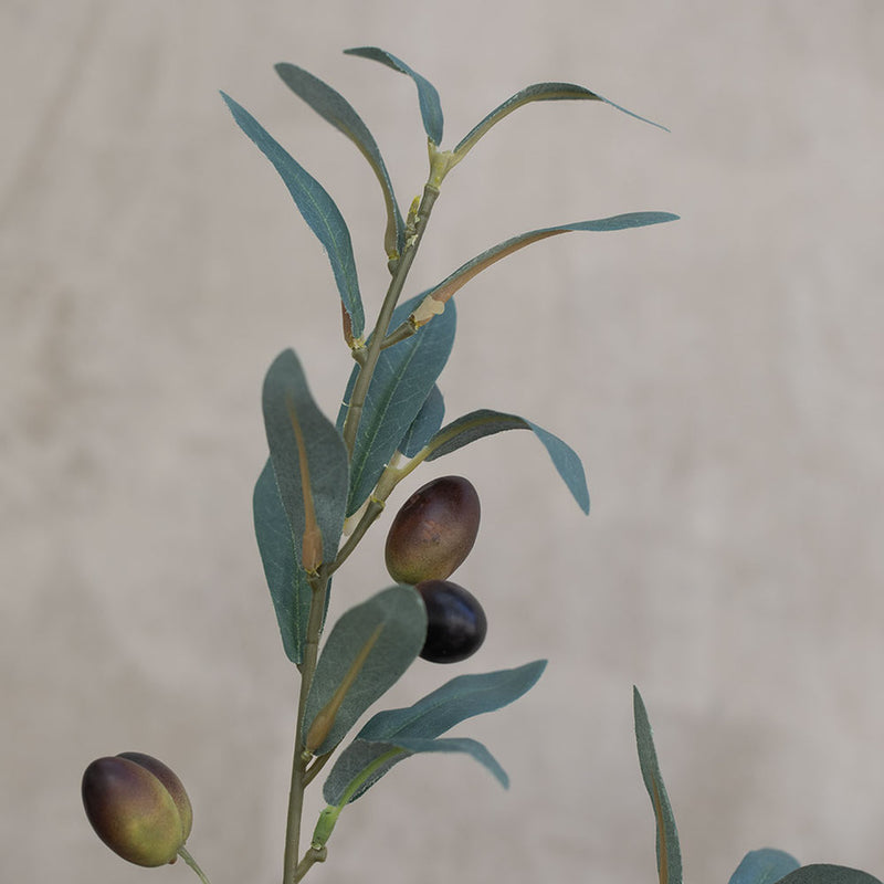 Rama de Olivo Artificial con Frutos | 80 cm