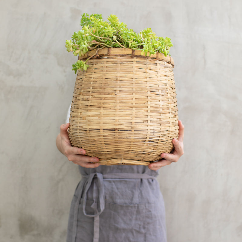 Canasto Thao de Bambú Natural – 3 Tamaños Disponibles