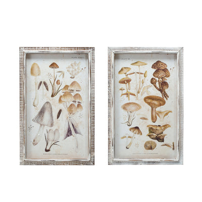 Cuadro con Marco de Madera y Vidrio – Lámina de Hongos - 2 Estilos - Venta por Unidad
