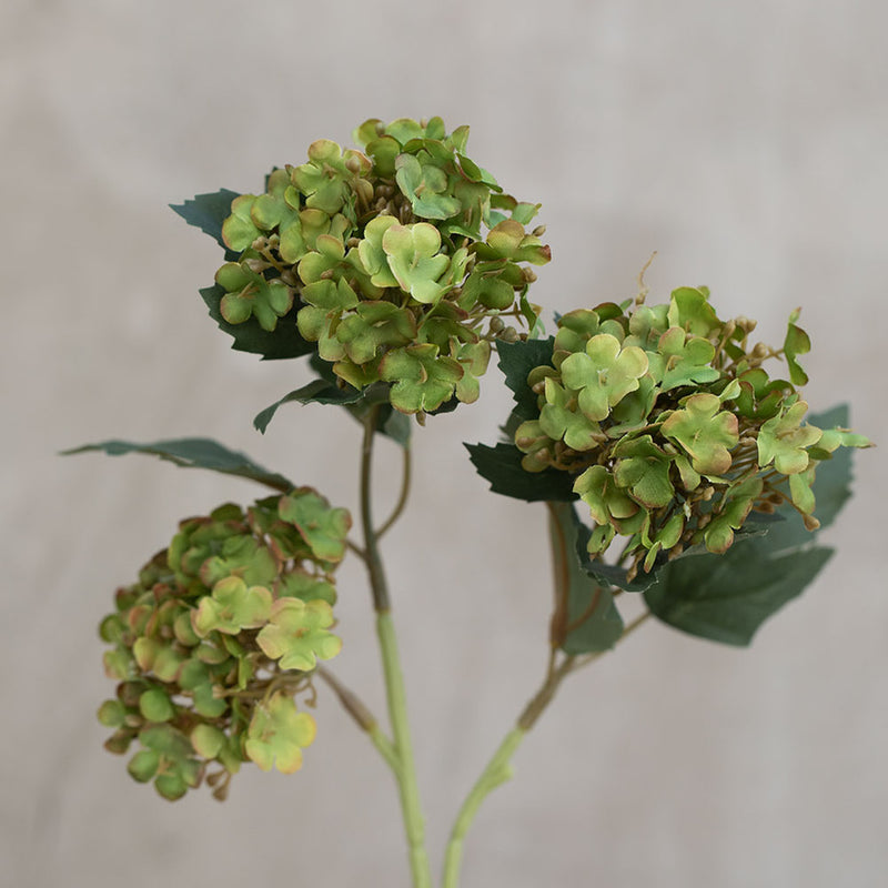 Hortensia Artificial Verde  Snowball | 60 cm