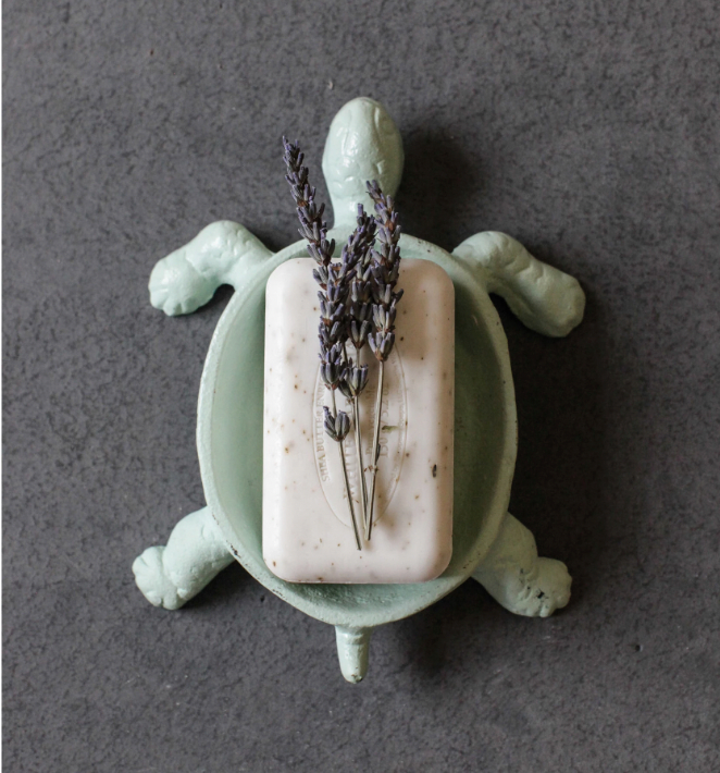 Jabonera Tortuga Fierro Turquesa