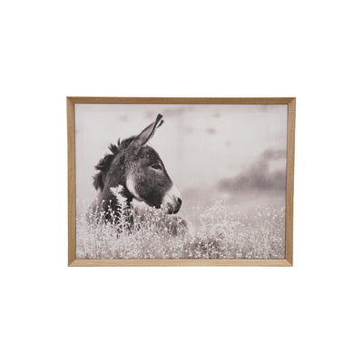 Fotografia Burro con Marco Madera
