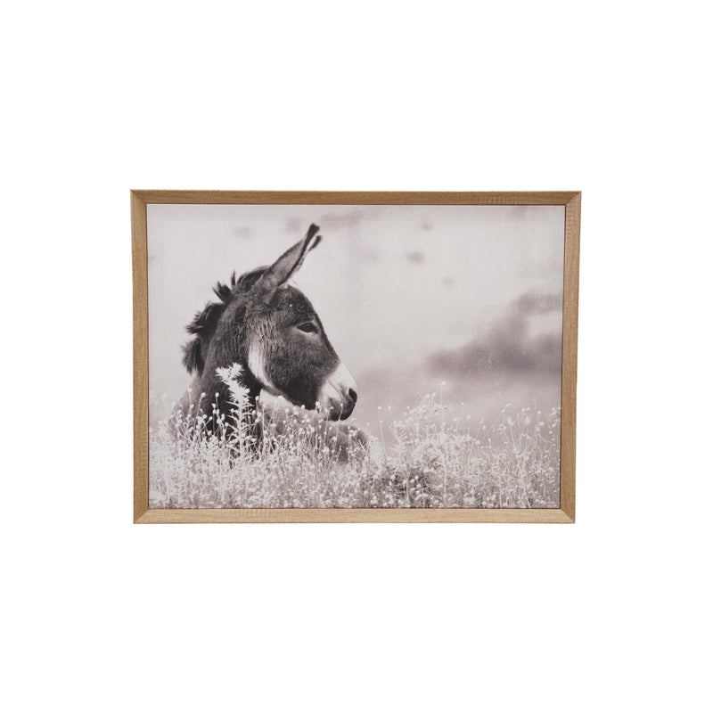 Fotografia Burro con Marco Madera