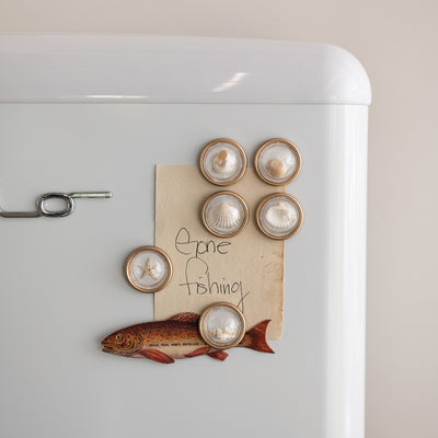 Set de 6 Imágenes Magnéticas Con Conchas Marinas