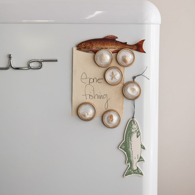 Set de 6 Imágenes Magnéticas Con Conchas Marinas