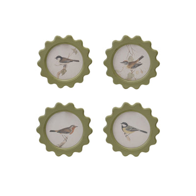 Cuadro Vintage de Pájaro en Rama – 4 Estilos - Venta por Unidad