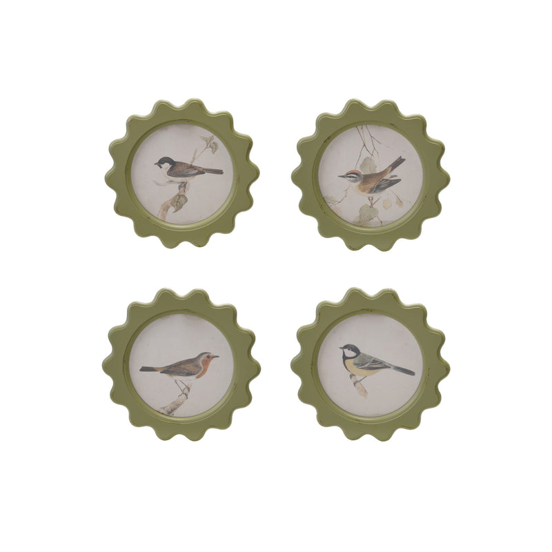 Cuadro Vintage de Pájaro en Rama – 4 Estilos - Venta por Unidad