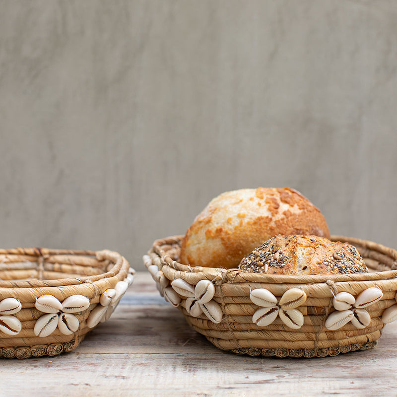 Panera Grande y Mediana Shell