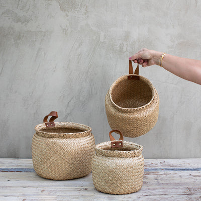 Canasto Maceta Leaf 3 Tamaños