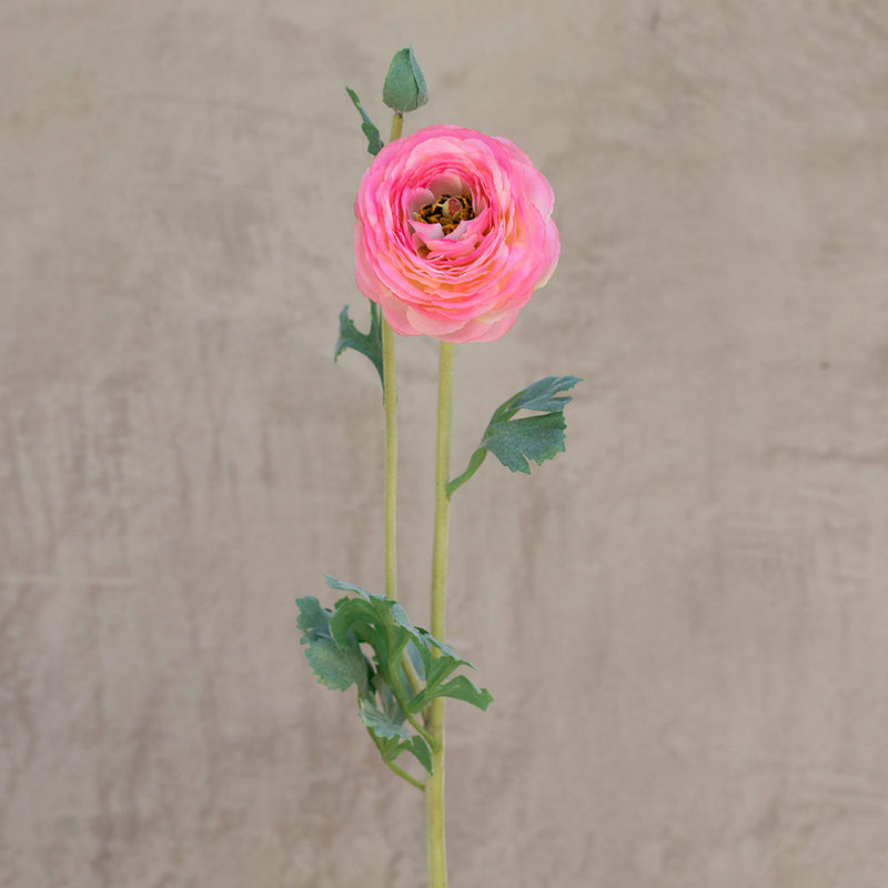 Rama Flor Ranunculus Rosado Suave 68cm