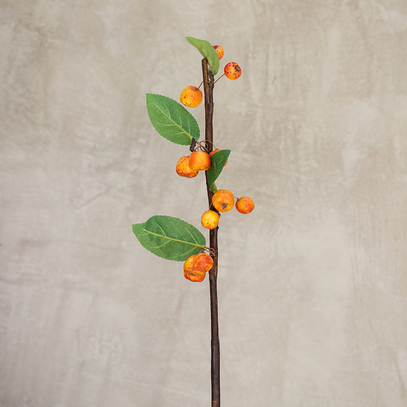 Rama Berrys Naranja  70cm