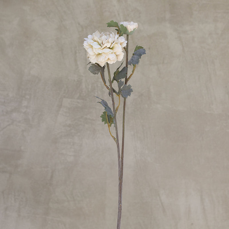 Rama Ranúnculus Blanca 72cm