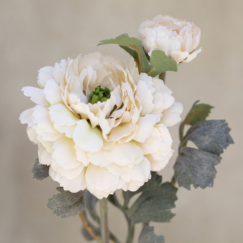 Rama Ranúnculus Blanca 72cm