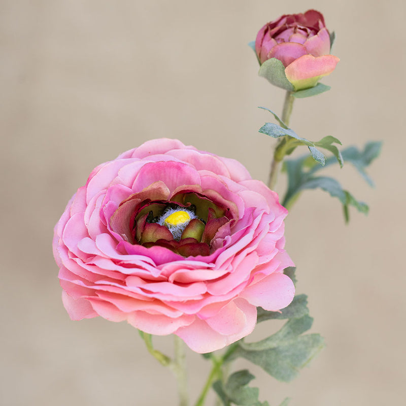 Rama Flor Ranunculus Rosado 72cm