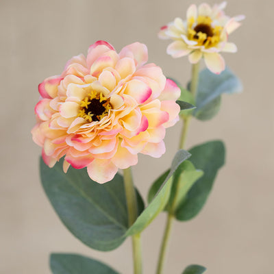 Rama Zinnia Rosada Suave 66cm