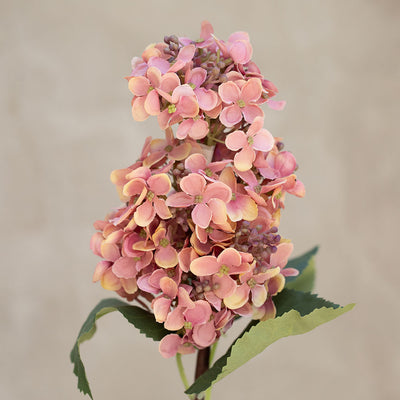 Rama Hortensia Larga Rosada 50cm