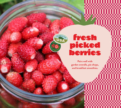 Vela Fresh Pick Berries
